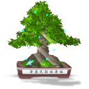 иконка бонсай, дерево, природа, bonsai