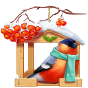 иконка зима, снегирь, птица, рябина, кормушка, bullfinch