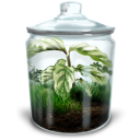 иконка террариум, растение, природа, цветок, terrarium