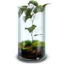 иконка террариум, природа, растение, жизнь, errarium