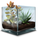 иконка террариум, растение, жизнь, природа, tterrarium
