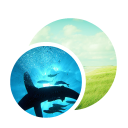 иконка preview, предпросмотр, изображение, фотографии, фотография, картинка, картинки