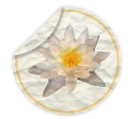 иконки quark