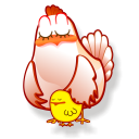 иконки hen, курица