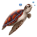 иконка черепаха, животное, turtle
